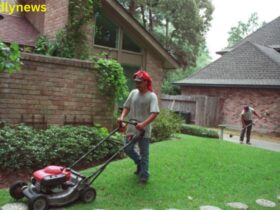 Lawn care service